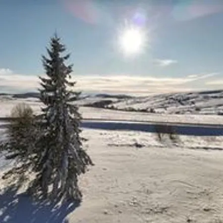 Apartment Confortable Proche Des Pistes A Super - Fr-1-814-124 Besse-et-Saint-Anastaise